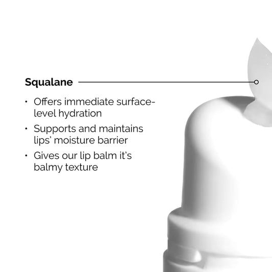 Squalane + Amino Acids Lip Balm