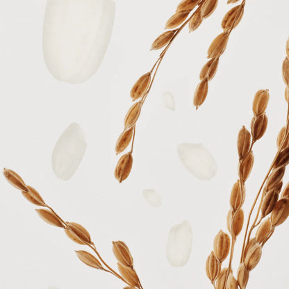 BEAUTY OF JOSEON - Relief Sun : Rice + Probiotics (SPF50+ PA++++)